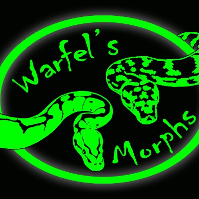 Jeremy Warfel